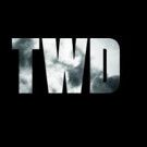 AMC Presents THE WALKING DEAD 'Mega Sunday' Event Today