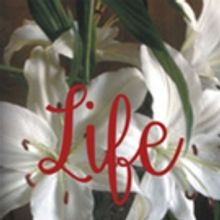 M.A. Benjamin Shares LIFE