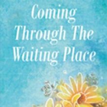 Shannon Jackson Releases COMING THROUGH THE WAITING PLACE