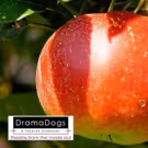 BWW Feature: DramaDogs Presents: FROM EVE'S FAIR HAND at The Faulkner Gallery