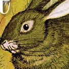 HARE & TORTOISE Comes to MTC's Family Series!