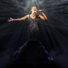 BWW Review: THE BODYGUARD at the Ed Mirvish Theatre