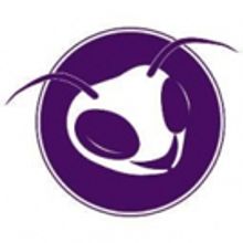 Planet Ant to Kick Off 2016-17 Season with REALLY REALLY