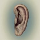 Chamber Made Opera's PERMISSION TO SPEAK to Premiere at Arts House This November