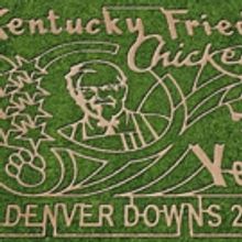 Do Aliens Love KFC Too? Giant Corn Maze Features Colonel Sanders Image