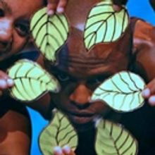 BWW Blog: On the Meaningful Recognition of Theatre for Young Audiences at South Afric