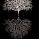 Donmar Warehouse to Host ELEGY Pre-Show Discussions