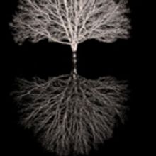 Donmar Warehouse to Host ELEGY Pre-Show Discussions