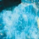 Book Now For Simon Russell Beale In THE TEMPEST At The Barbican