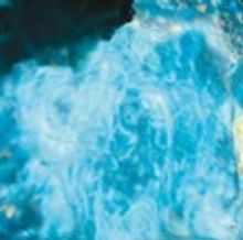 Book Now For Simon Russell Beale In THE TEMPEST At The Barbican