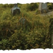 Boise Contemporary Theater to Open 20th Season with A SKULL IN CONNEMARA