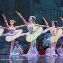Photo Flash: First Look at the Cast of Atlantic City Ballet's THE NUTCRACKER in Actio