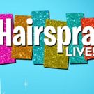 JUST IN: NBC's HAIRSPRAY LIVE Now Accepting Tracy Turnblad Video Auditions!