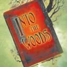 Entr'Acte Theatrix Presents INTO THE WOODS, Now thru 6/28