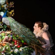 Adelaide Festival Announces Discounted Student Tickets to Exclusive Extra Presentatio