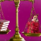 STAGE TUBE: Sneak Peek at LEGALLY BLONDE at Music Circus
