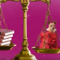 STAGE TUBE: Sneak Peek at LEGALLY BLONDE at Music Circus Video