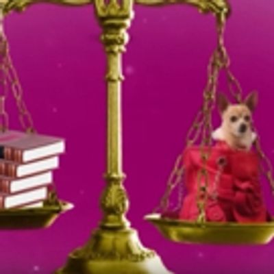 STAGE TUBE: Sneak Peek at LEGALLY BLONDE at Music Circus