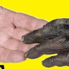 1st Stage's Critically Acclaimed TREVOR Extended Until 3/5