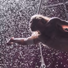 Photo Flash: BIANCO Comes To Southbank Centre