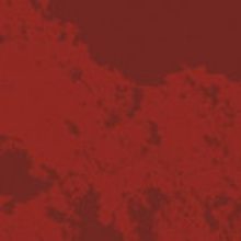 Shawdowbox Live Reaches Out with Student Programming