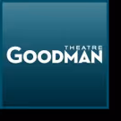 Chicago's Goodman Theatre Postpones WONDERFUL TOWN Until September 2016