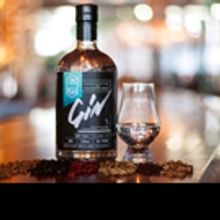 International Gin Tasting Event, Largest In The World, Awards Top Honors to Grand Rap