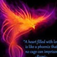 Sheena Metal Introduces I AM RAISING THE VIBRATION OF THE NATION (AND THE WORLD)