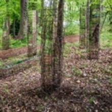Sandra Muss Installation Inaugurates the Woods at The Kreeger Museum Sculpture Garden