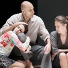 Ivo van Hove's A VIEW FROM THE BRIDGE, THE WOLVES and More Slated for Goodman Theatre