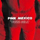 Pink Mexico Announces 'Fool' LP with 'Buzz Kill'