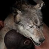 BWW Reviews: NECK OF THE WOODS, HOME, July 10 2015 Photo