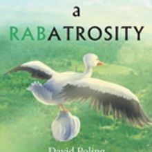 David Poling Releases A RABATROSITY
