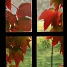 Bridge Street Theatre Stages Reading of THE VELOCITY OF AUTUMN Tonight