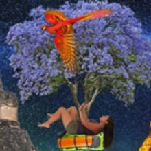 THE RAMBLING FEMINIST Returns to Australia