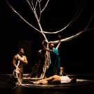 Jessica Lang and 'CAREFREE' Set for McCarter's 2016 Dance Series