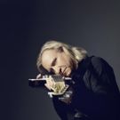 Joe Walsh Announces Solo 'Walsh Tour' Dates in July & August