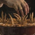 Roald Dahl's THE TWITS Becomes Theatrical Dining Experience at The Vaults