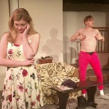 VANYA AND SONIA AND MASHA AND SPIKE to Open Friday in Brooklyn Heights