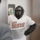 The Phoenix Suns Gorilla Takes Over ESPN's Mexico City Offices in New 'This is…
