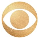 CBS Sets 2015-16 Season Finale Storylines with Drama, Big Reveals and Series Endings