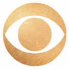 CBS Sets 2015-16 Season Finale Storylines with Drama, Big Reveals and Series Endings