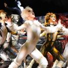 CATS Returning to Edinburgh in 2016