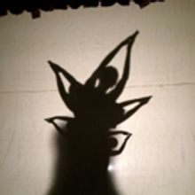 Shaker Theatre Presents 'Wonderland' As Spring Ensemble Show