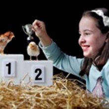 National Museums Scotland Programmes To October 2017