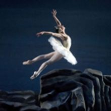 BWW Review: American Ballet Theatre's Exquisite SWAN LAKE
