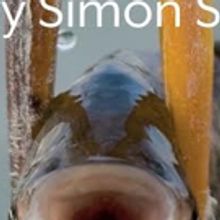 Full Cast Announced for HERONS at Lyric Hammersmith