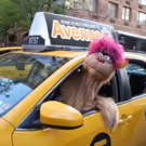 Photo Coverage: Trekkie Monster Debuts the New AVENUE Q Taxi!
