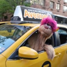 Photo Coverage: Trekkie Monster Debuts the New AVENUE Q Taxi!