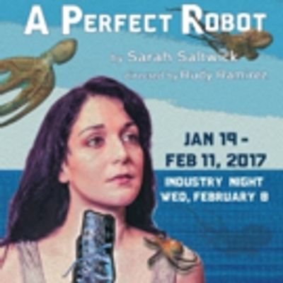 BWW Review: A PERFECT ROBOT Is a Multilayer World Premiere Marvel